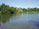 Photo Number 6