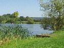 Photo Number 7