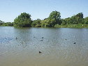 Photo Number 9
